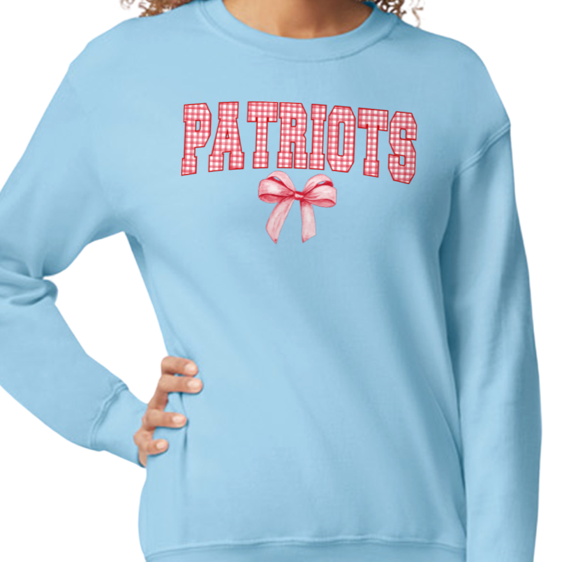 Gingham Coquette Mascot Sweatshirts - Adult π