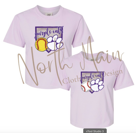 Home Plate Baseball/Softball Team Shirt (Youth)